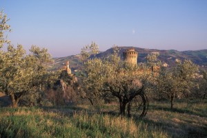 brisighella-rocca-tra-gli-ulivi